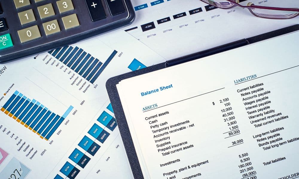 A balance sheet to show categorize business transactions