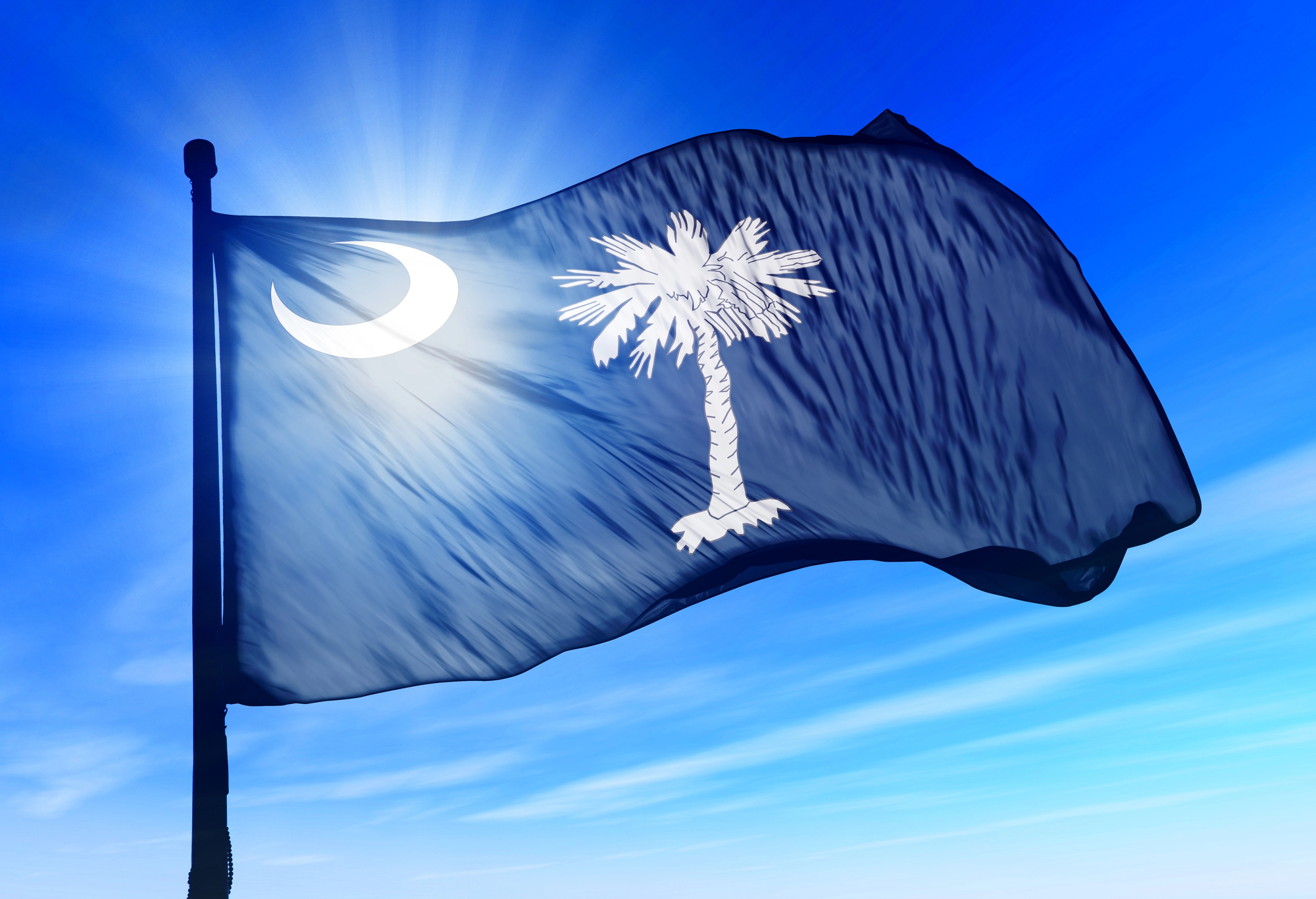 The South Carolina state flag waves against a bright blue sky, symbolizing opportunities for businesses, including the Passthrough Entity Tax benefits.